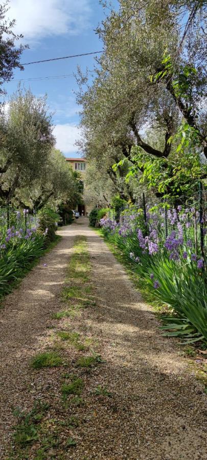 Agli Ippocastani Lägenhet Perugia Exteriör bild